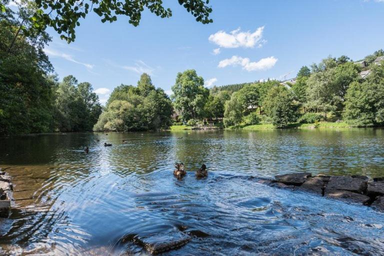 Schwarzwald-Traum Mit Pool Und Sauna Unterkirnach Exterior photo